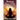 Raising Your Vibe: The Guide for Becoming a Lightworker