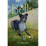 Bella, the journey of A Blind Street Dog