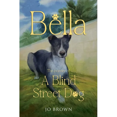 Bella, the journey of A Blind Street Dog