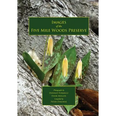 Images of the Five Mile Woods Preserve