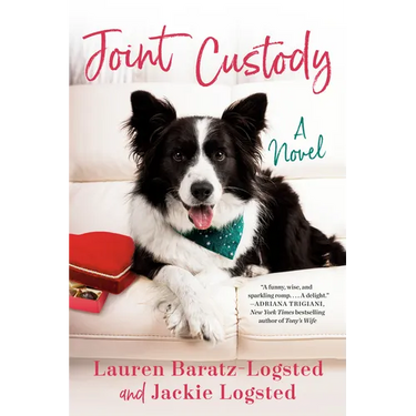 Joint Custody