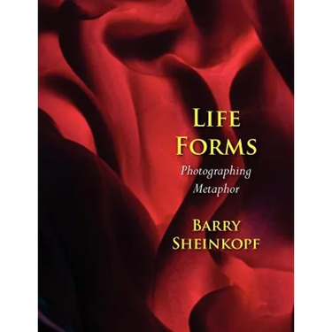 Life Forms: Photographing Metaphor