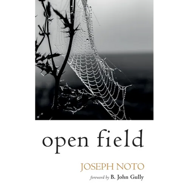 Open Field
