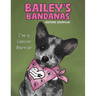Bailey's Bandanas