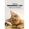 Tips For Training Cat: Teach Your Cat To Behave: Can You Teach A Cat Commands?