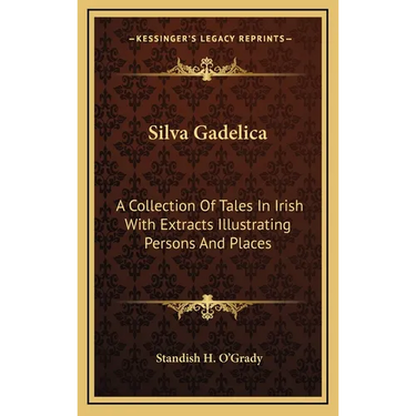 Silva Gadelica: A Collection Of Tales In Irish With Extracts Illustrating Persons And Places