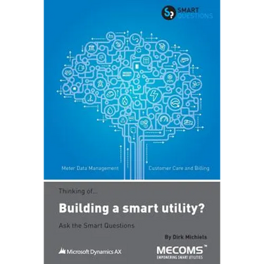Thinking of...Building a smart utility? Ask the Smart Questions