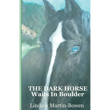 The Dark Horse Waits in Boulder
