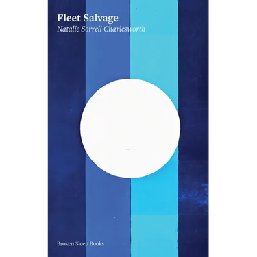 Fleet Salvage