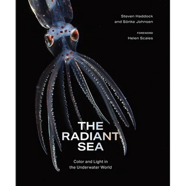 The Radiant Sea: Color and Light in the Underwater World