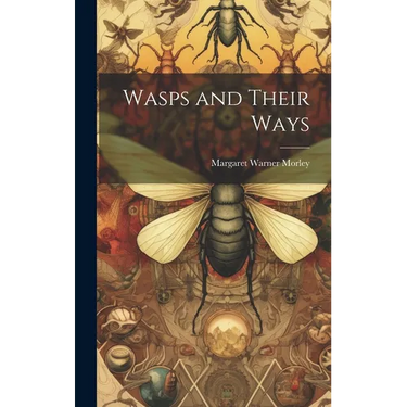 Wasps and Their Ways