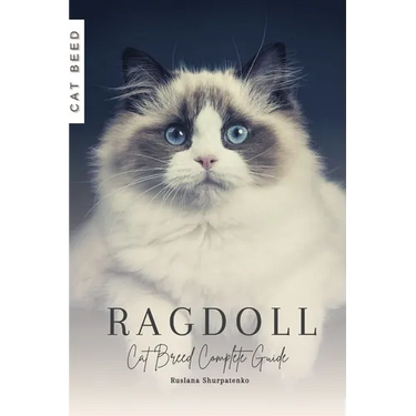 Ragdoll: Cat Breed Complete Guide