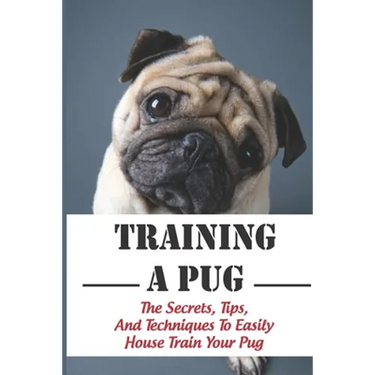 Training A Pug: The Secrets, Tips, And Techniques To Easily House Train Your Pug: House Training For Your Pug Guide