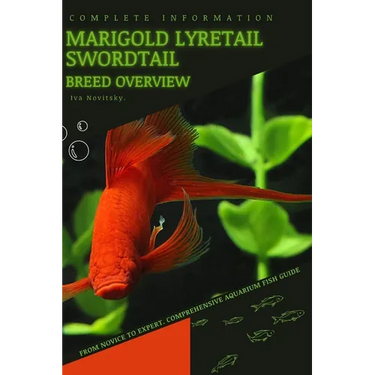 Marigold Lyretail Swordtail: From Novice to Expert. Comprehensive Aquarium Fish Guide