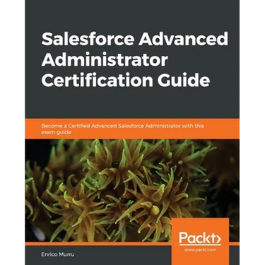 Salesforce Advanced Administrator Certification Guide
