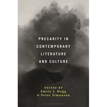 Precarity in Contemporary Literature and Culture