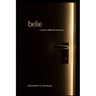 Belie: A Sean Colbeth Mystery
