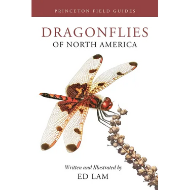 Dragonflies of North America