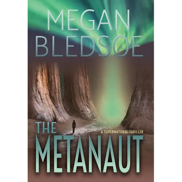The Metanaut: a supernatural thriller
