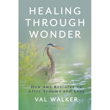 Healing Through Wonder: How Awe Restores Us After Trauma and Loss
