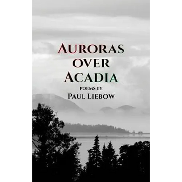 Auroras Over Acadia