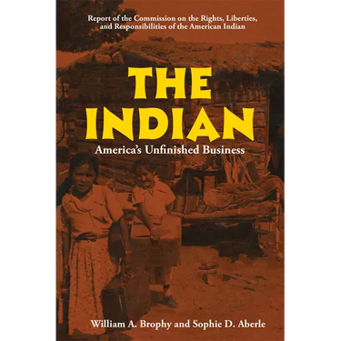 The Indian: America's Unfinished Business