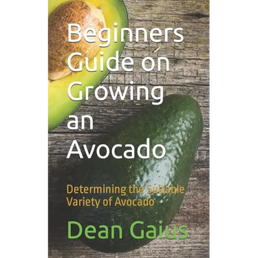 Beginners Guide on Growing an Avocado: Determining the Suitable Variety of Avocado