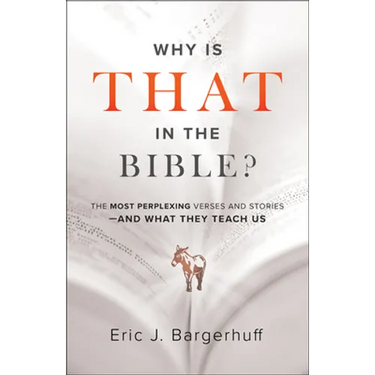 Why Is That in the Bible?: The Most Perplexing Verses and Stories--And What They Teach Us