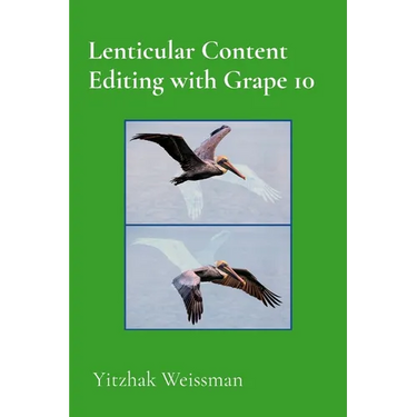 Lenticular Content Editing with Grape 10