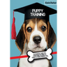 Puppy Training: An Essential Guide for Everything You Need to Know To Train A Perfect Dog.