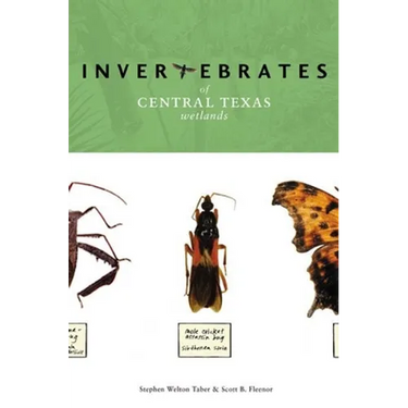 Invertebrates of Central Texas Wetlands