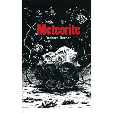 Meteorite