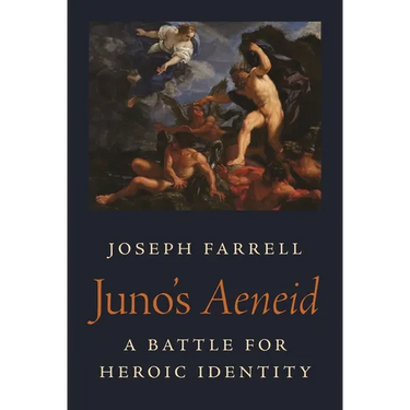 Juno's Aeneid: A Battle for Heroic Identity