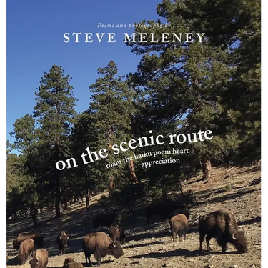 On The Scenic Route: roam the haiku poem heart appreciation