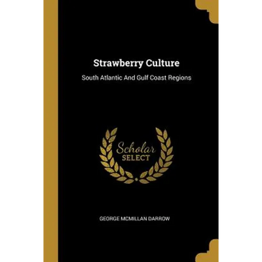 Strawberry Culture: South Atlantic And Gulf Coast Regions