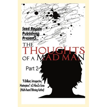 Thoughts of a Madman Part 2