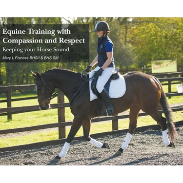 Equine Training with Compassion and Respect: Keeping your Horse Sound