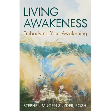 Living Awakeness: Embodying Your Awakening