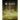 Modified Standard American Yellow Card