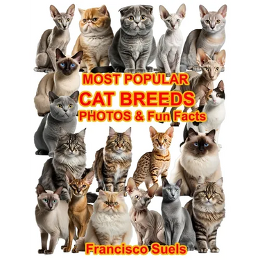 Most Popular Cat Breeds Photos Fun Facts