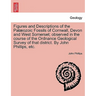 Figures and Descriptions of the Pal Ozoic Fossils of Cornwall, Devon and West Somerset; Observed in the Course of the Ordnance Geological Survey of Th
