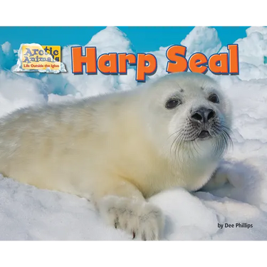 Harp Seal