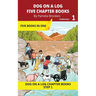 Five Chapter Books 1: Decodable Series for Students Learning to Read. For Beginning Readers and Students with Dyslexia. (Step 1-All Letters plus Conso