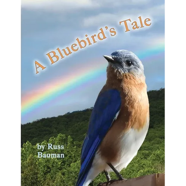 A Bluebird's Tale