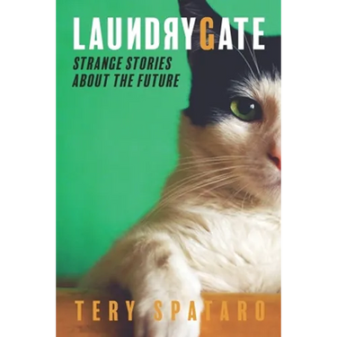 Laundrygate: Strange Stories About the Future