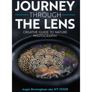 Journey Through The Lens: Creative Guide to Nature Photography
