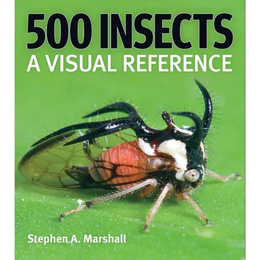 500 Insects: A Visual Reference