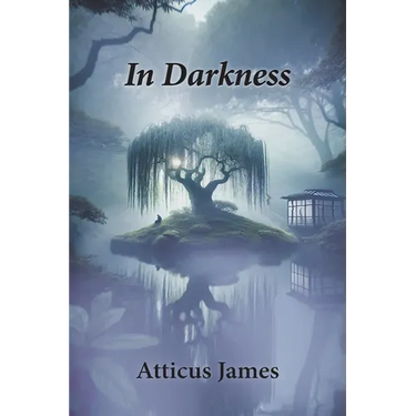 In Darkness
