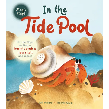 In the Tide Pool: A Magic Flaps Book