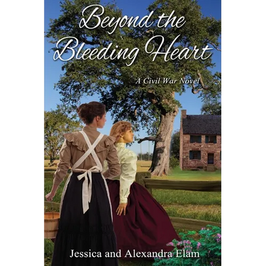 Beyond the Bleeding Heart: A Tale of the American Civil War